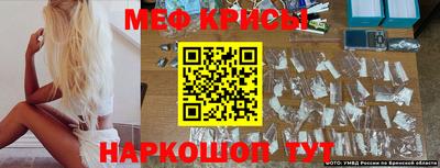 jwh Кингисепп