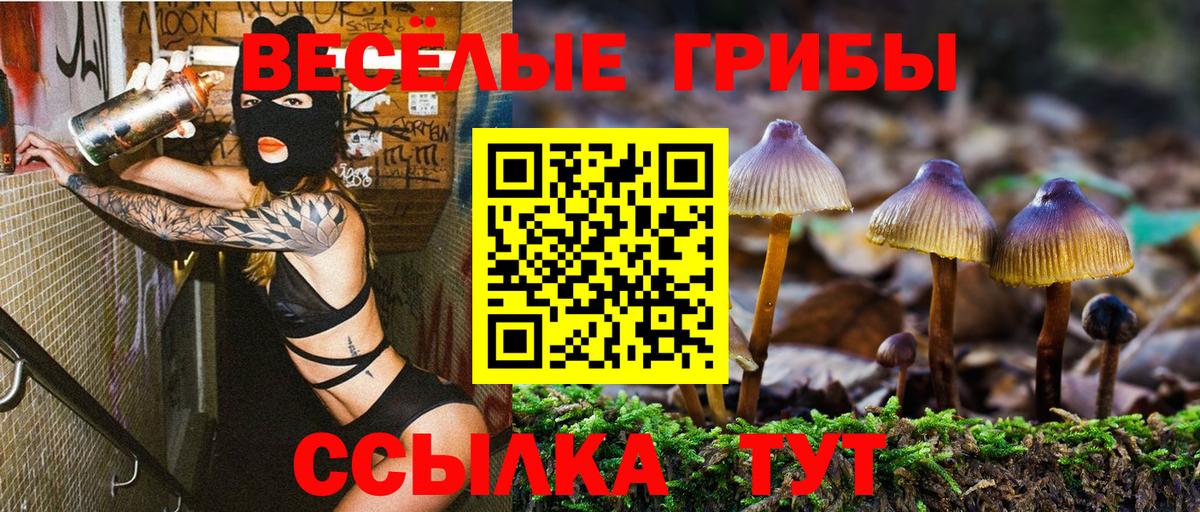 Псилоцибиновые грибы Cubensis Клин