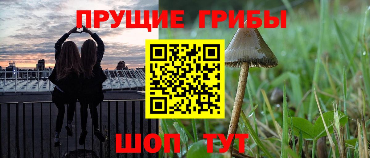 Галлюциногенные грибы Psilocybe  Вход с VPN  Клин 